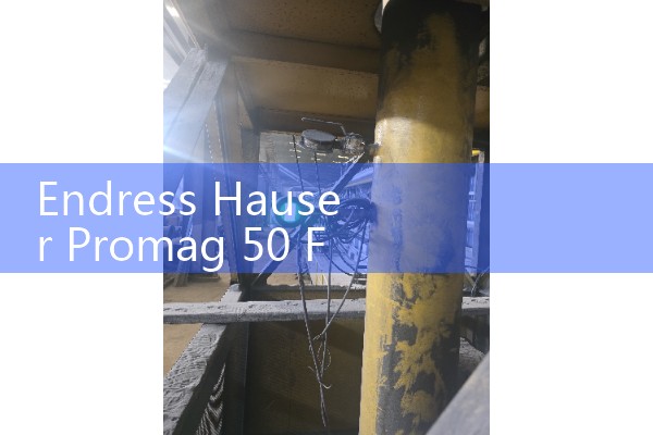 Endress Hauser Promag 50 Flow Meter Specifications: Standard Electromagnetic Meter for Water